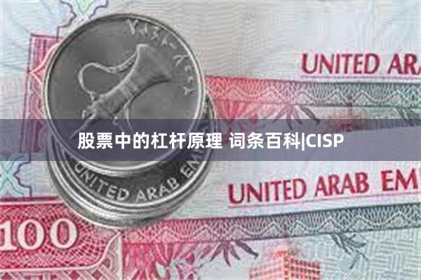 股票中的杠杆原理 词条百科|CISP