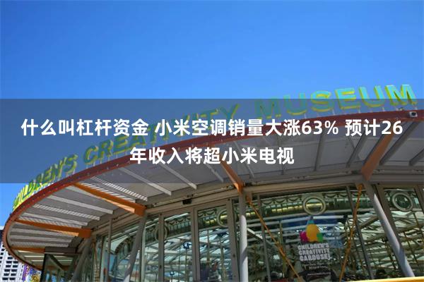 什么叫杠杆资金 小米空调销量大涨63% 预计26年收入将超小米电视