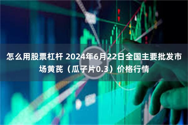 怎么用股票杠杆 2024年6月22日全国主要批发市场黄芪（瓜子片0.3）价格行情