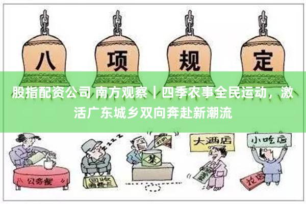 股指配资公司 南方观察｜四季农事全民运动，激活广东城乡双向奔赴新潮流