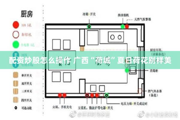 配资炒股怎么操作 广西“荷城”夏日荷花别样美