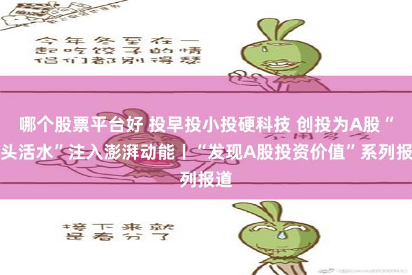 哪个股票平台好 投早投小投硬科技 创投为A股“源头活水”注入澎湃动能丨“发现A股投资价值”系列报道