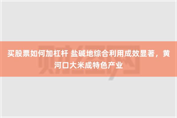 买股票如何加杠杆 盐碱地综合利用成效显著，黄河口大米成特色产业