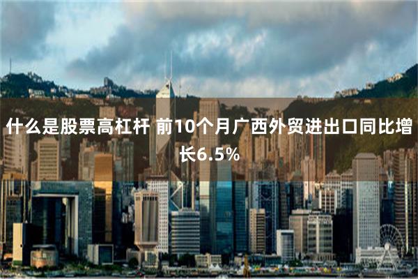 什么是股票高杠杆 前10个月广西外贸进出口同比增长6.5%