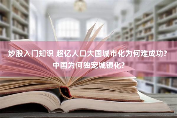 炒股入门知识 超亿人口大国城市化为何难成功? 中国为何独宠城镇化?