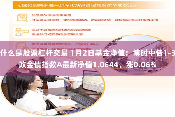 什么是股票杠杆交易 1月2日基金净值：博时中债1-3政金债指数A最新净值1.0644，涨0.06%