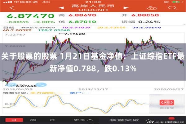 关于股票的股票 1月21日基金净值：上证综指ETF最新净值0.788，跌0.13%