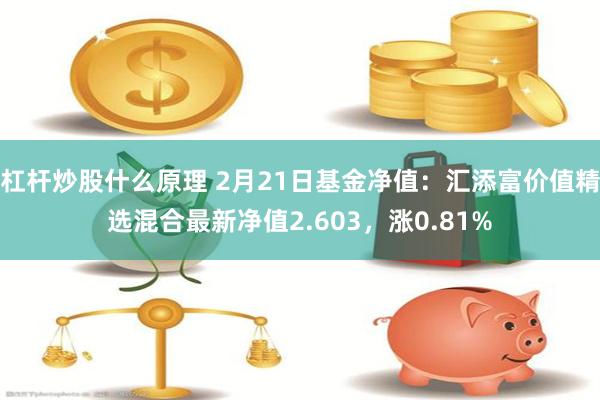 杠杆炒股什么原理 2月21日基金净值：汇添富价值精选混合最新净值2.603，涨0.81%